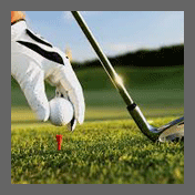 wheathill golf course